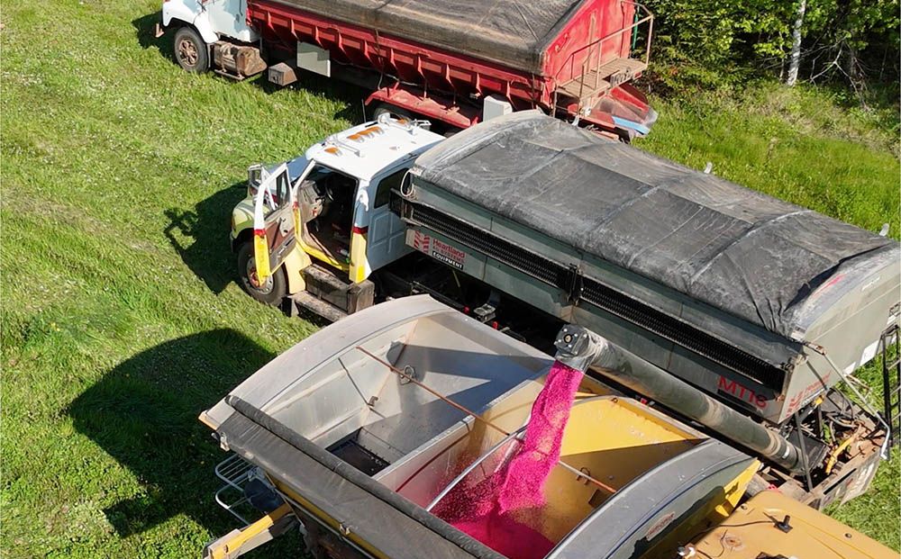 A truck transporting pink granules into a yellow spreader